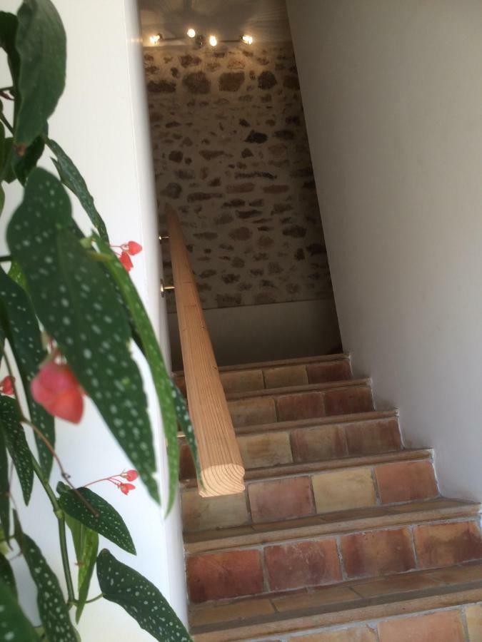 Domaine De Camp Joyeux Apartment Puget-Ville Ngoại thất bức ảnh